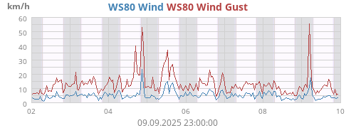 weekextrawind